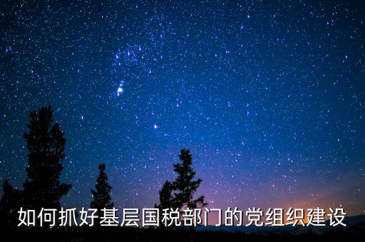 國稅基層建設(shè)是什么，基層建設(shè)是指什么