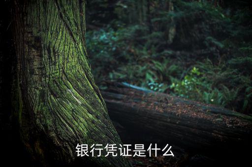 銀行劃款憑證是什么，銀行憑證是什么