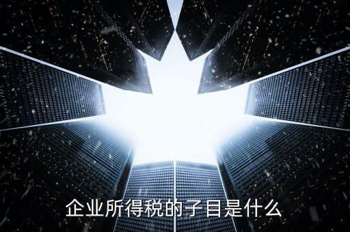 企業(yè)所得稅征收品目是什么，征收品目是什么