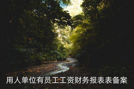 財務(wù)備案是什么意思，備案是什么意思