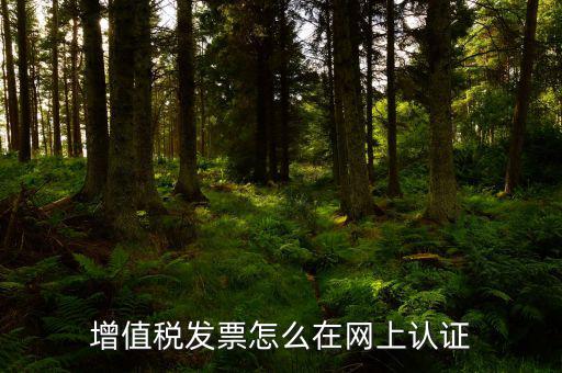 發(fā)票認證需要什么軟件下載，國稅發(fā)票認證需要準備那些資料 到大廳辦的時候工作人員叫我拿U盤