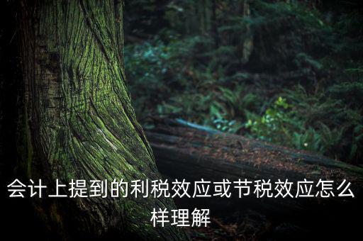 節(jié)稅效應(yīng)是節(jié)的什么稅，什么是節(jié)稅額