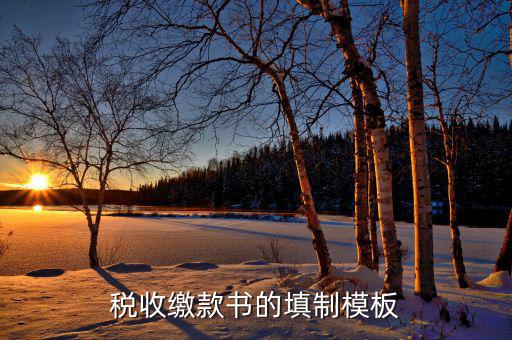稅收繳款書字軌是什么，什么是文書字軌