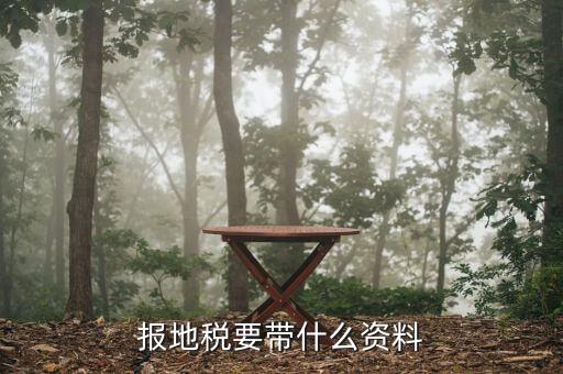 報地稅要帶什么資料，地稅報稅需要什么資料
