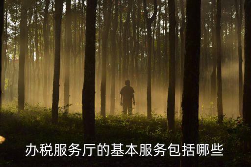 一體化辦稅服務廳是什么，辦稅服務廳的基本服務包括哪些