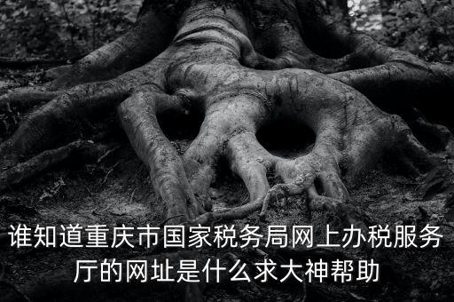 重慶稅務(wù)網(wǎng)站是什么，那個小型企業(yè)網(wǎng)上申報稅務(wù)的網(wǎng)站是多少啊發(fā)了一張流程表上