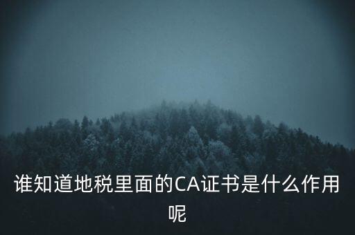 地稅的ca證書是什么，什么是聯(lián)通ca證書地稅ca證書