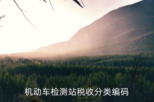 機(jī)動(dòng)車(chē)檢測(cè)站稅收分類(lèi)編碼