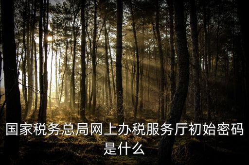 江蘇地稅登錄密碼是什么意思，江蘇地稅開票密碼是多少