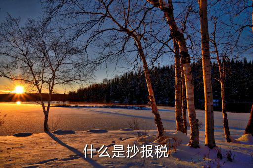 什么是抄稅報稅申報，抄稅和報稅是什么意思 應(yīng)該怎么做呢