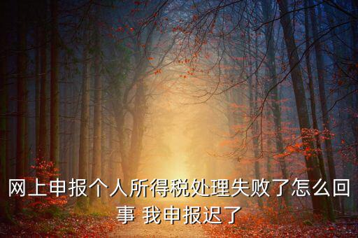 稅款處理失敗什么意思，扣繳稅款失敗提示銀財通處理失敗FAPP00444要怎樣處理才可以扣款