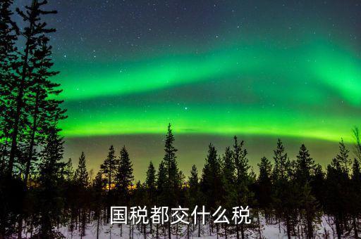 國(guó)稅稅費(fèi)是什么，國(guó)稅都交什么稅