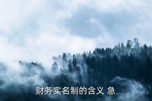稅務(wù)實(shí)名制是什么意思，財(cái)務(wù)實(shí)名制的含義 急