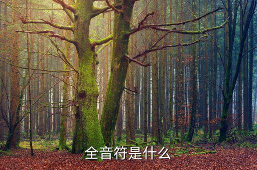 一戶(hù)式是什么，服裝SKU是指什么有什么實(shí)際應(yīng)用意義