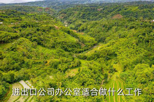 會(huì)做進(jìn)出口公司審批備案的找什么工作，進(jìn)出口企業(yè)備案怎么弄找哪個(gè)部門(mén)
