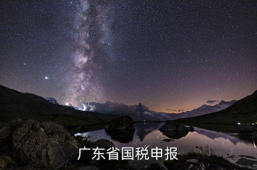 廣東省國(guó)稅2號(hào)窗是什么，廣州國(guó)稅網(wǎng)2號(hào)窗口查詢區(qū)可以查詢什么信息