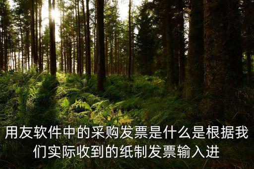 上下游采購發(fā)票是什么，用友軟件中的采購發(fā)票是什么是根據(jù)我們實(shí)際收到的紙制發(fā)票輸入進(jìn)