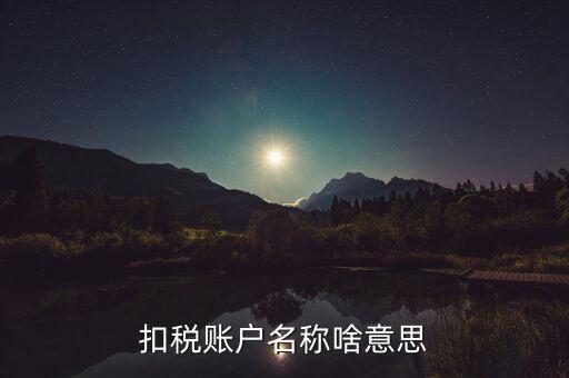 河北地稅用戶名是什么意思，地稅申報的用戶名和密碼是什么