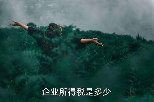 生產企業(yè)稅收標準是什么，企業(yè)所得稅是多少