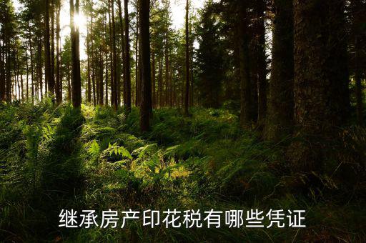 印花稅應納稅憑證是什么，什么是憑證印花稅