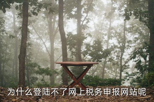 申報(bào)個(gè)稅登錄不上去是什么原因，為什么我的個(gè)人所得稅總是登不上去