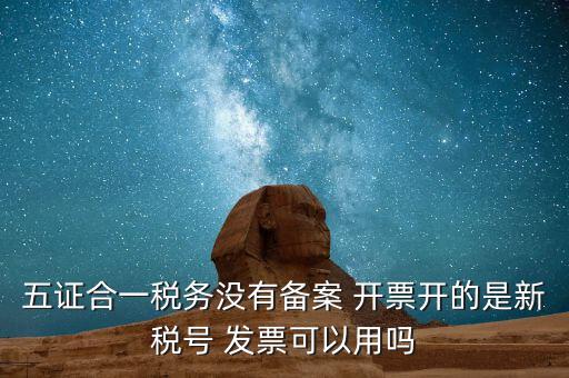 新稅號(hào)用到什么，新稅號(hào)開的發(fā)票與老稅號(hào)開具的發(fā)票有什么不同