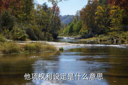 其他權(quán)力事項(xiàng)是指什么，他項(xiàng)權(quán)利設(shè)定是什么意思