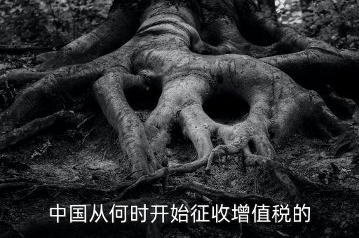 什么時(shí)候征收增值稅，批發(fā)零售業(yè)增值稅征收率什么時(shí)間開始為3