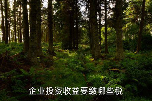 公司盈利要交什么稅，企業(yè)投資收益要繳哪些稅