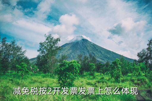 發(fā)票減免原因是什么意思，發(fā)票單上已免是什么意思