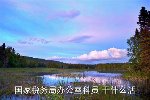 國(guó)稅行政辦公室干什么，國(guó)稅局辦公室怎么樣