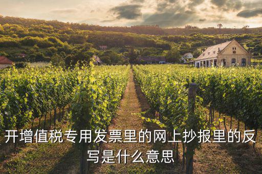 稅控盤反寫是什么意思，開增值稅專用發(fā)票里的網上抄報里的反寫是什么意思