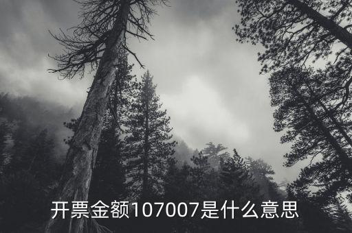 開(kāi)票金額是什么意思，增值稅專用發(fā)票的各項(xiàng)金額分別是什么含義