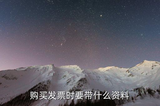 購(gòu)發(fā)票 帶什么資料，購(gòu)買增值稅普通發(fā)票需要帶什么資料