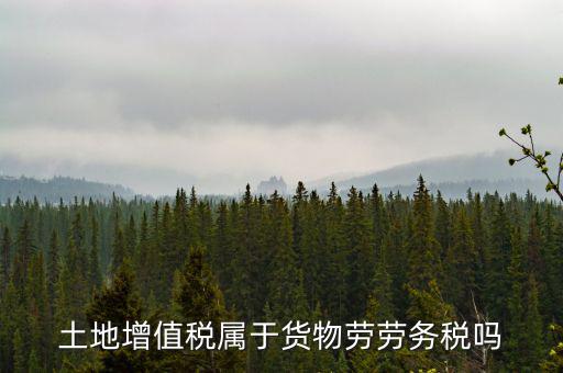 土地增值稅屬于什么稅種，土地增值稅是什么
