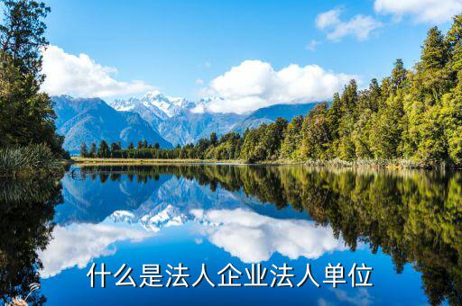 歸屬法人單位什么意思，所屬法人單位名稱什么意思
