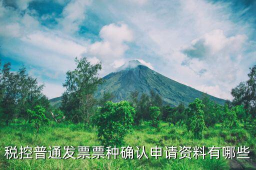 票種核定申請交什么資料，發(fā)票票種核定調(diào)整被拒需要提供什么資料