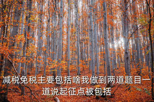什么是減稅免稅，什么是稅收法定減免