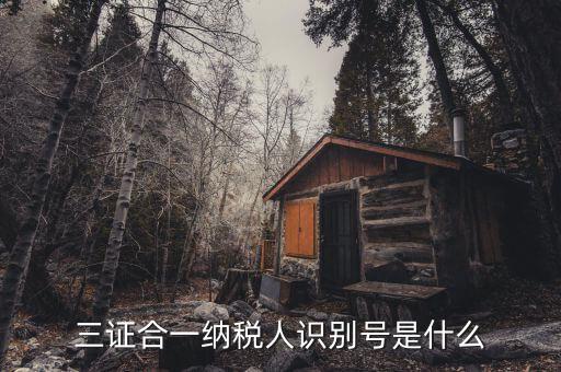 稅號(hào)識(shí)別號(hào)是什么意思，納稅人編碼 納稅人識(shí)別號(hào)有什么區(qū)別