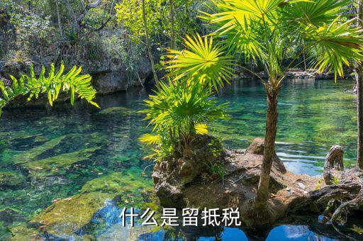 什么是留底進(jìn)項(xiàng)稅額，固定資產(chǎn)進(jìn)項(xiàng)留底稅款是什么意思呀