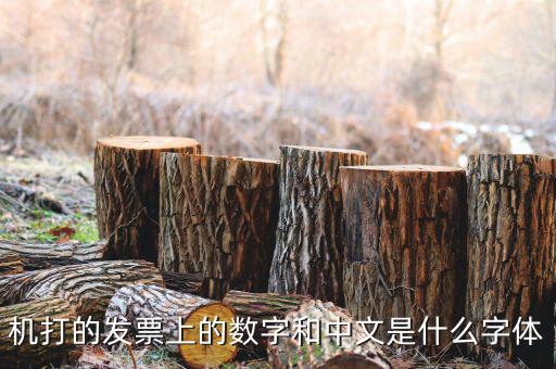 發(fā)票章中間數(shù)字是什么字體，機(jī)打的發(fā)票上的數(shù)字和中文是什么字體