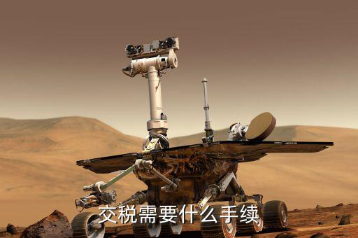 到國稅局交稅帶什么，去稅務局交稅帶誰的身份證