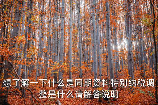 什么是特別納稅調(diào)整監(jiān)控管理階段，想了解一下什么是同期資料特別納稅調(diào)整是什么請(qǐng)解答說(shuō)明