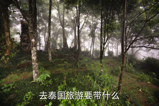 稅務(wù)局的信仰是什么，道德模范有哪些