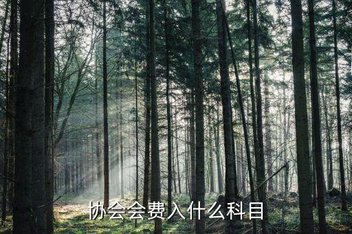 行業(yè)協(xié)會會費開什么票，交行業(yè)協(xié)會會費應入哪個科目