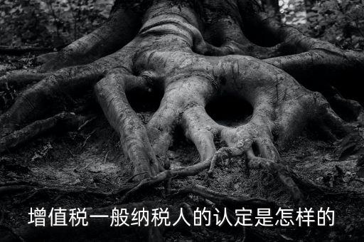 一般納稅人認證是什么，一般納稅人資格證什么