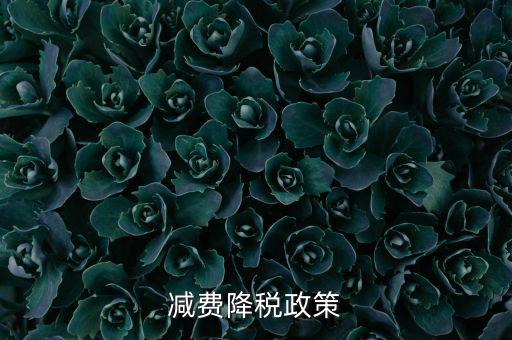做好6項減稅政策的內容是什么，減費降稅政策
