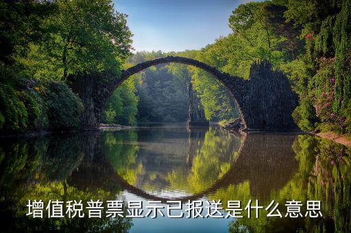什么是報送報告，什么是報送審計(jì)