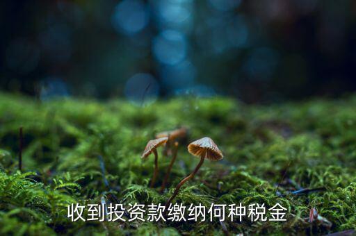 銷售投資品 納什么稅，收到投資款繳納何種稅金