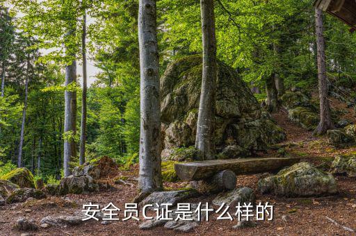 數(shù)字人事是什么樣的，數(shù)字人事是什么